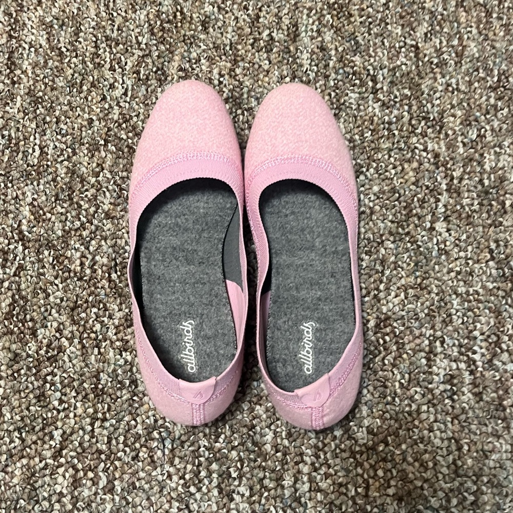 Allbirds Wool Breezers Ballet Flats